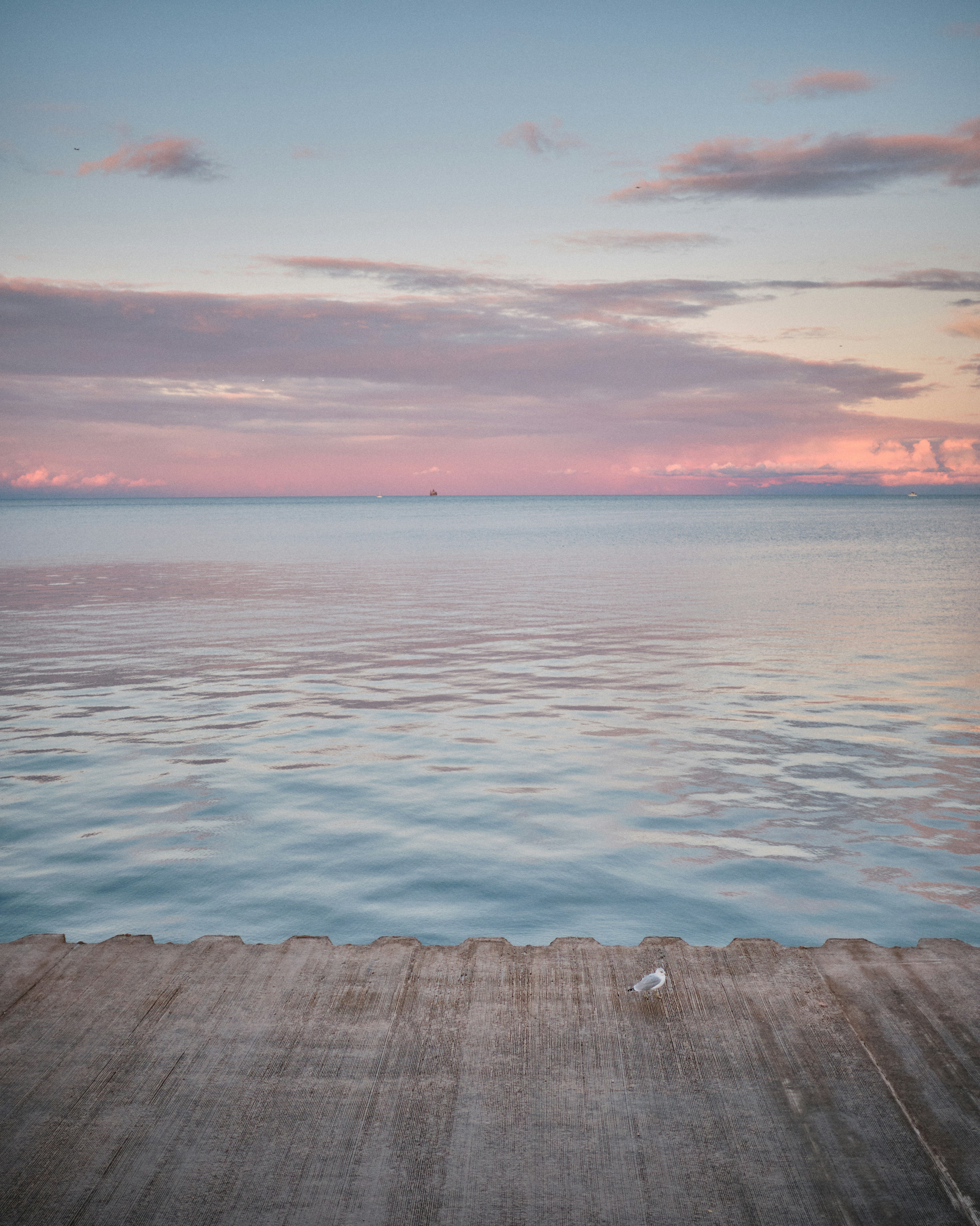 Photo by ianjbattaglia