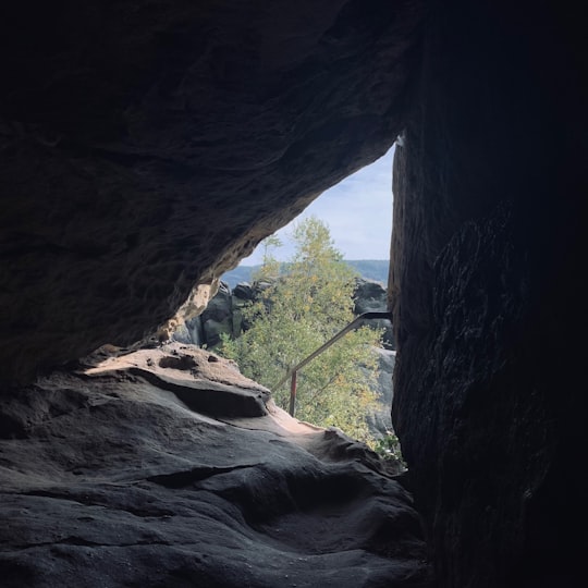 photo of Sächsische Schweiz-Osterzgebirge National park near Blaues Wunder