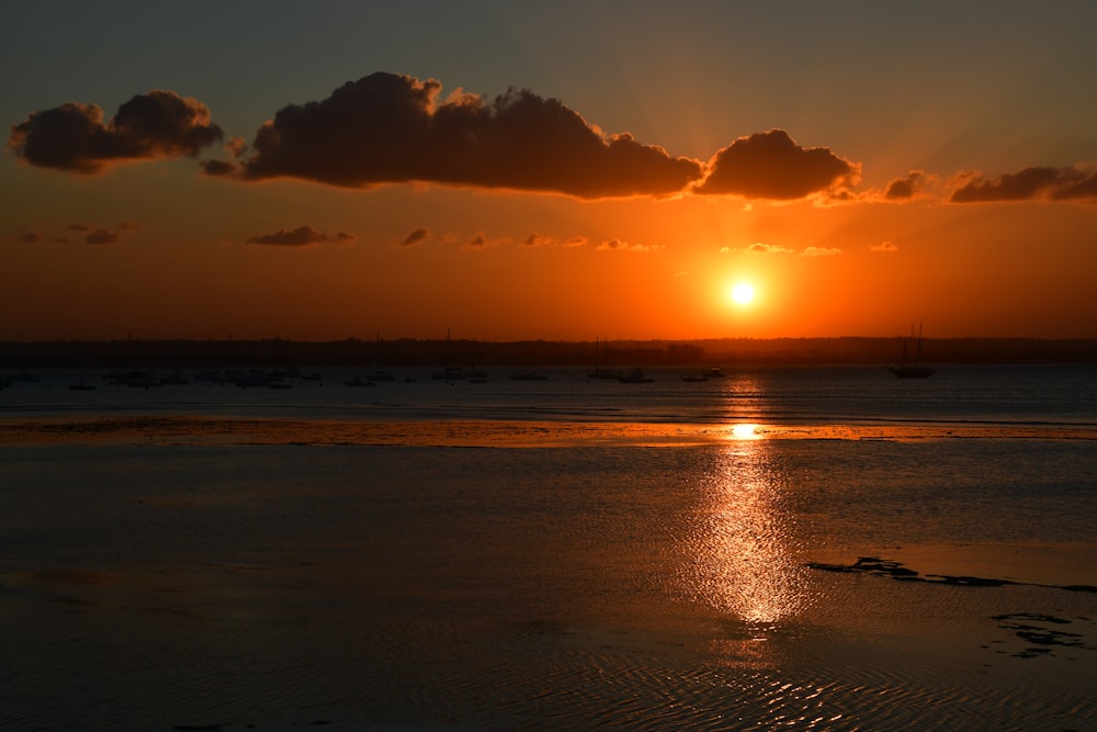 silhouette of person on beach during sunset