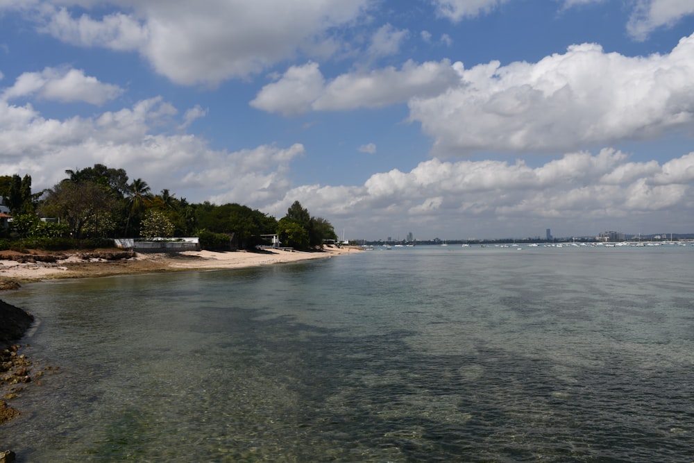 green trees near body of water under white clouds and blue sky during daytime