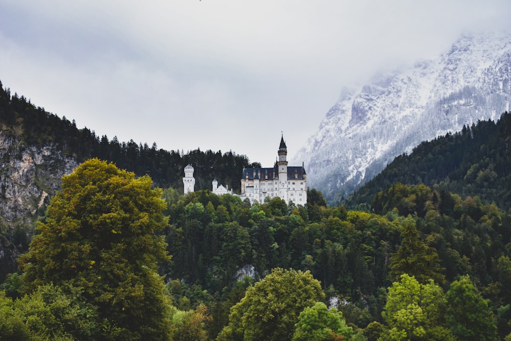 white and black castle on top of mountain