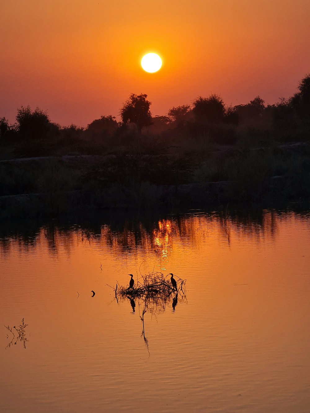 body of water during sunset