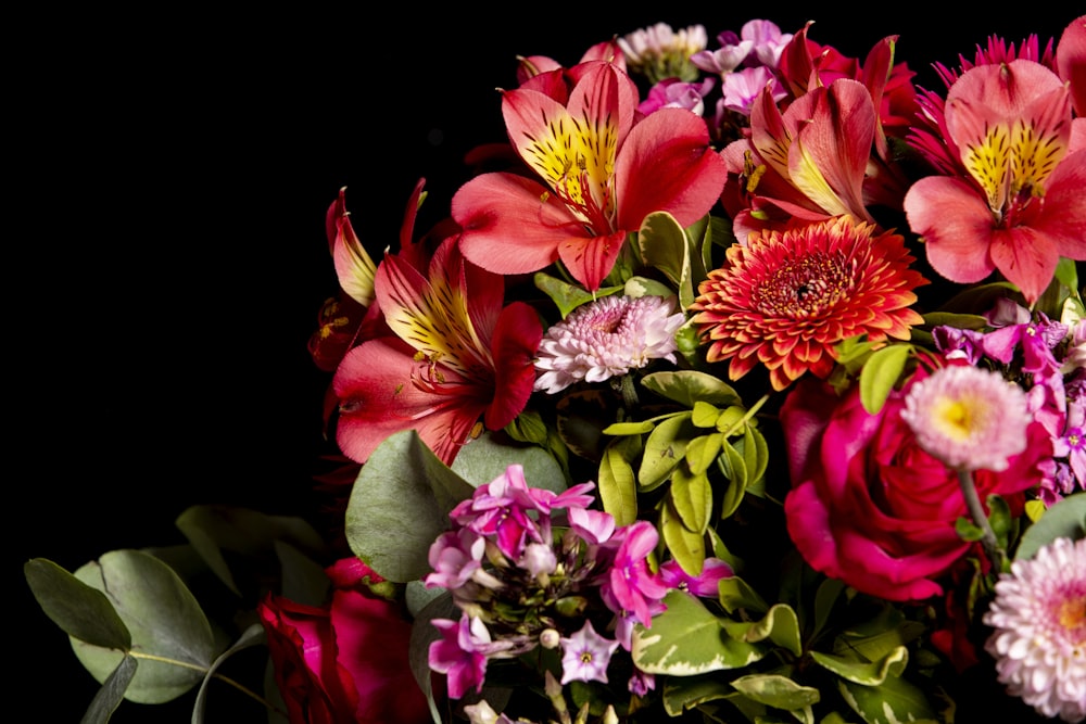 pink and white flowers with green leaves