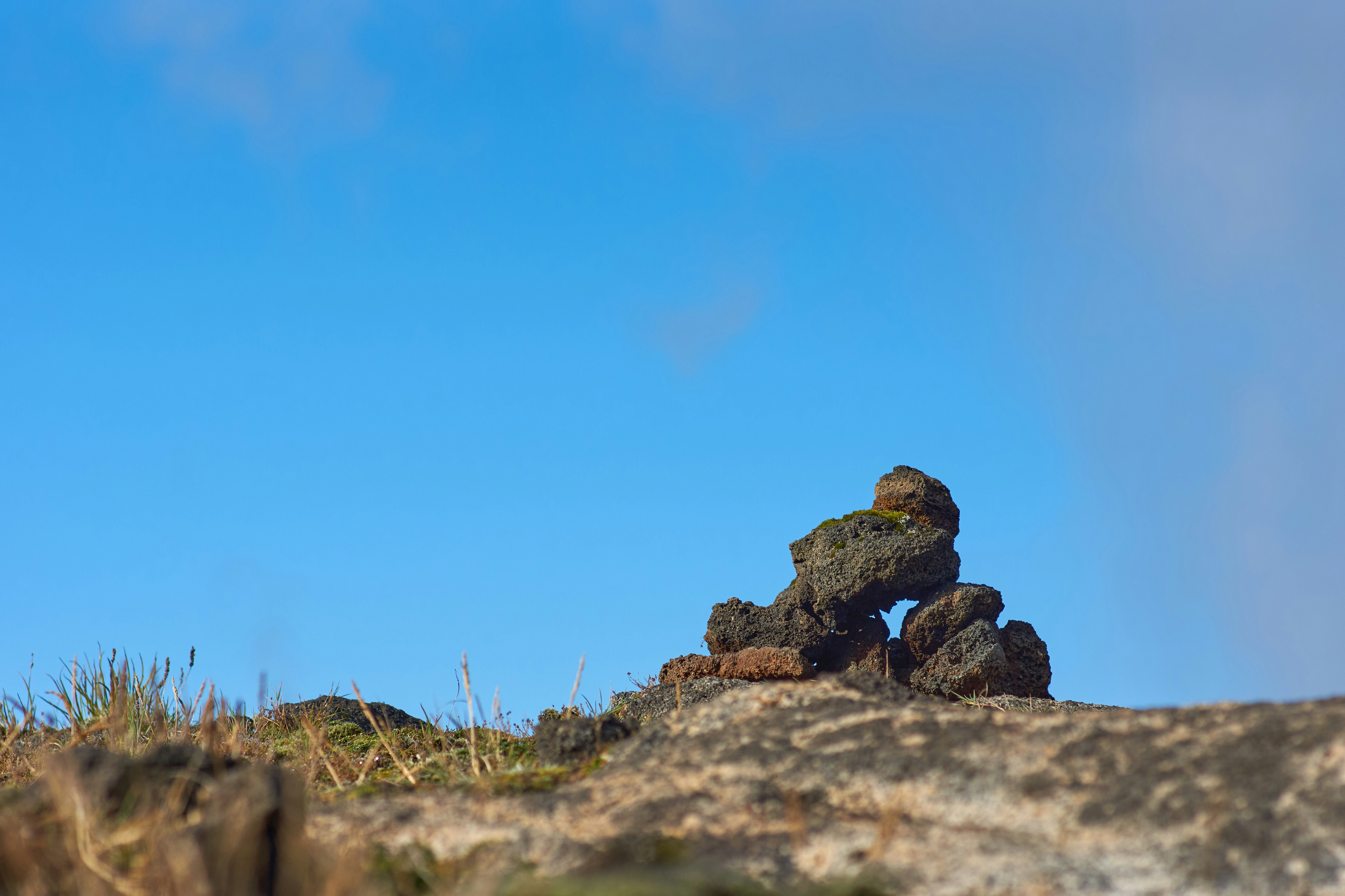 Photo by wolfgang_hasselmann