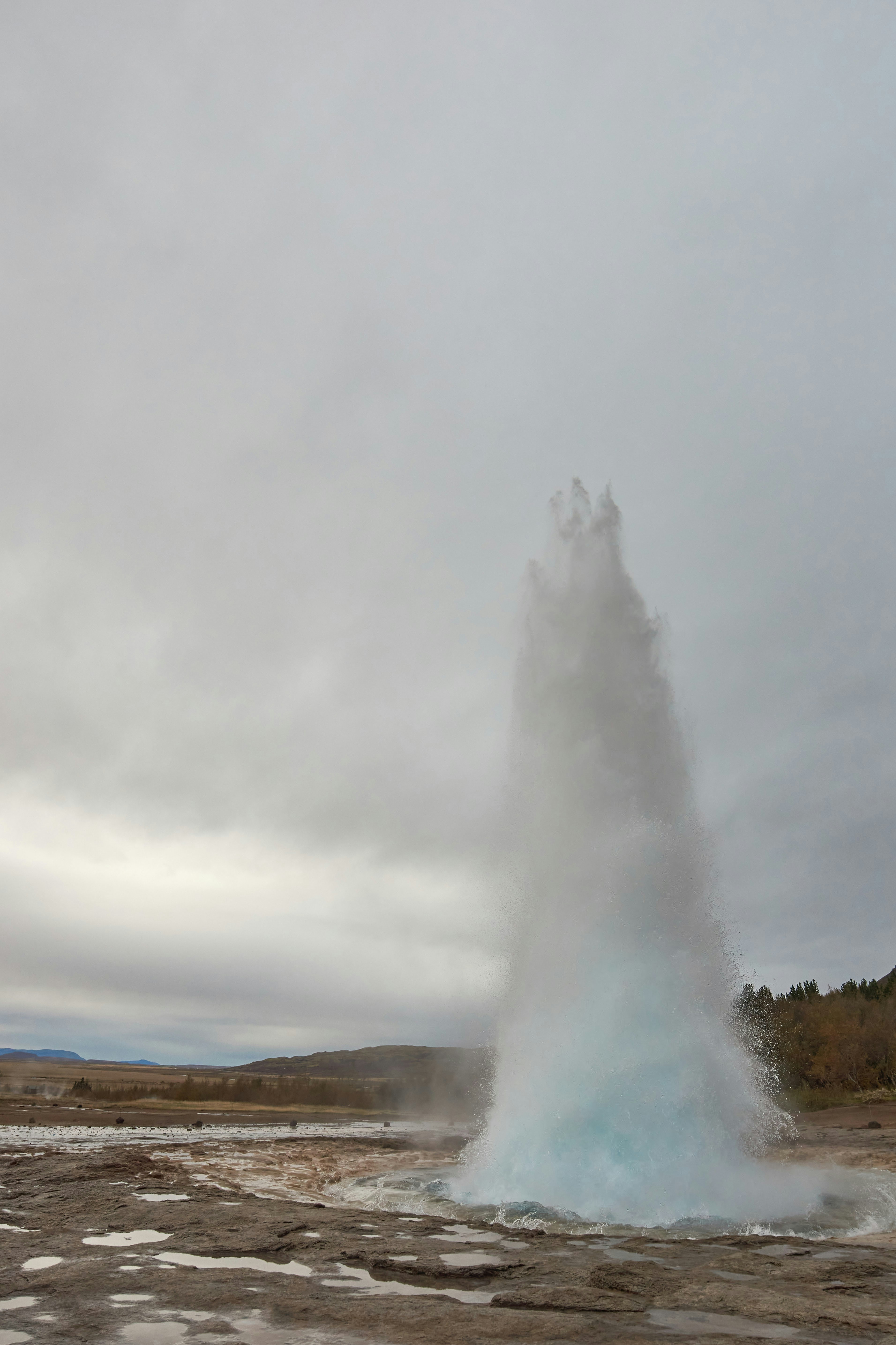 Photo by wolfgang_hasselmann