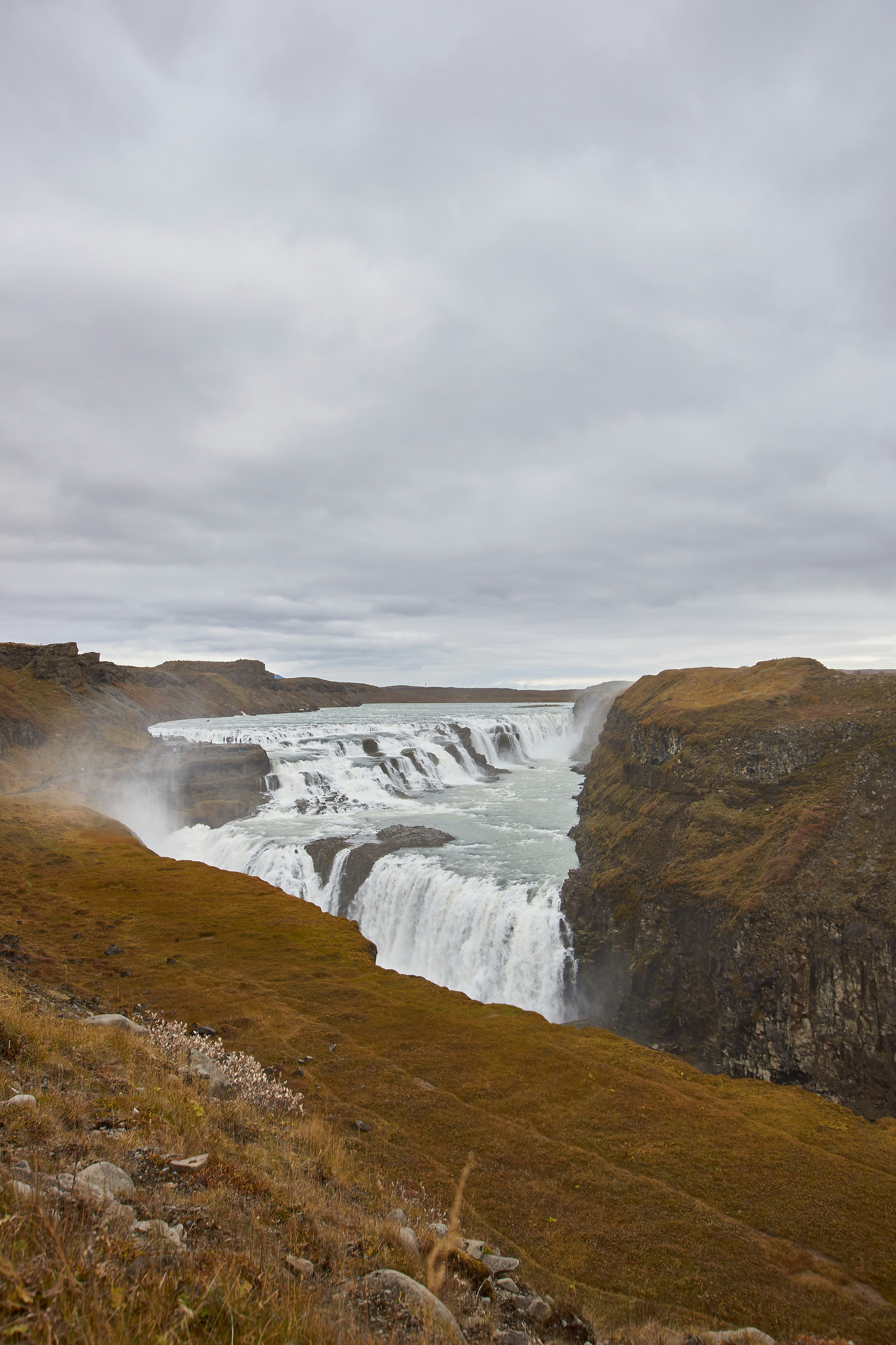 Photo by wolfgang_hasselmann