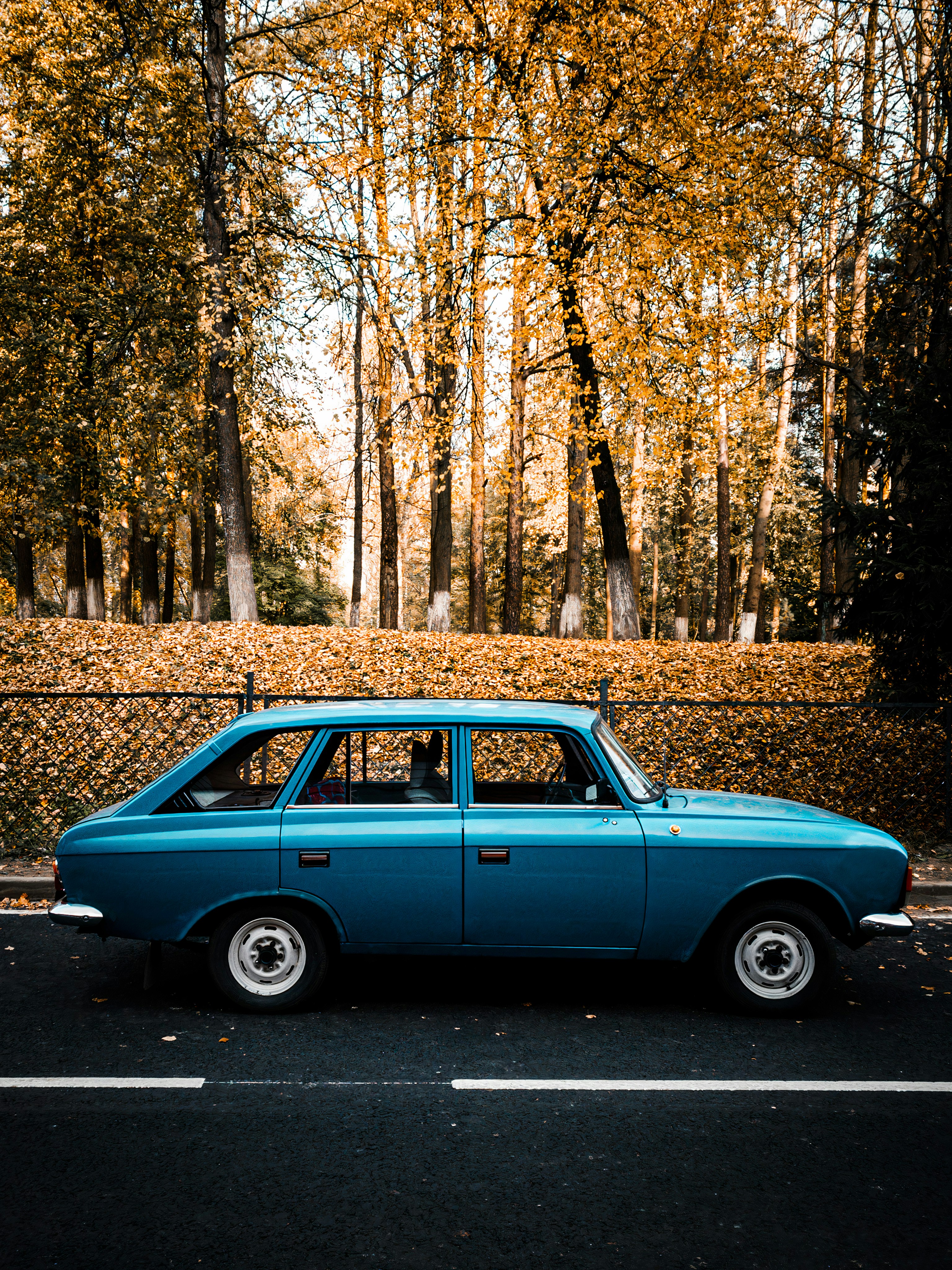 Photo by photonomikon