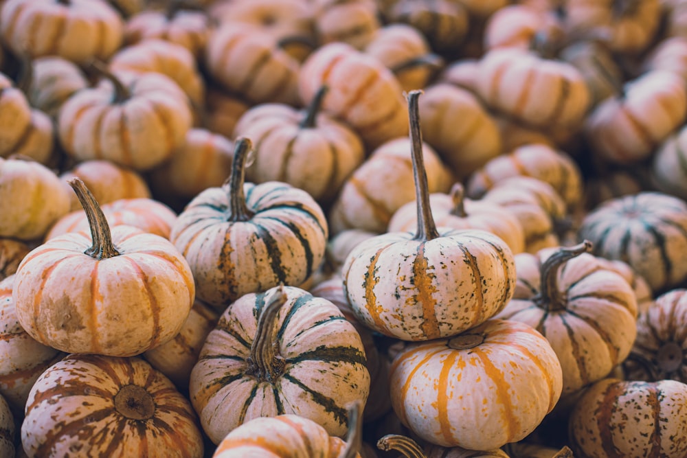 white and orange pumpkins on brown wooden table