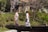 Two women wearing traditional kimonos walk across a small rustic wooden bridge in a lush garden setting. There are blossoming trees and vibrant green foliage in the background. A couple of people are seen in the distance, taking photos. A wooden sign with 'Wood Carving' is visible on the bridge.