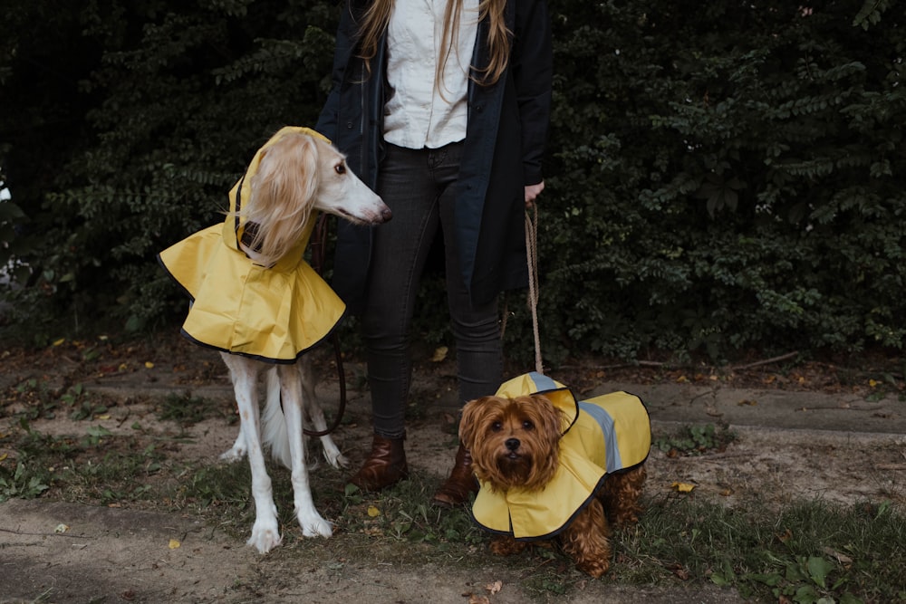 woman in black jacket holding brown short coated dog