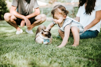 girl in blue denim dungaree sitting on green grass field with brown and white short coated