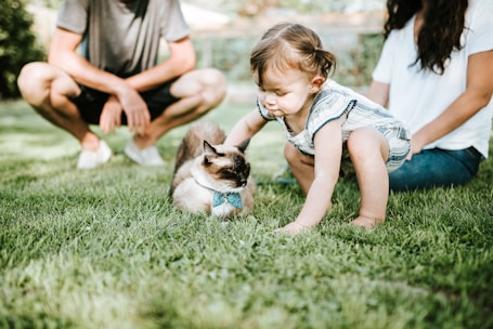 girl in blue denim dungaree sitting on green grass field with brown and white short coated