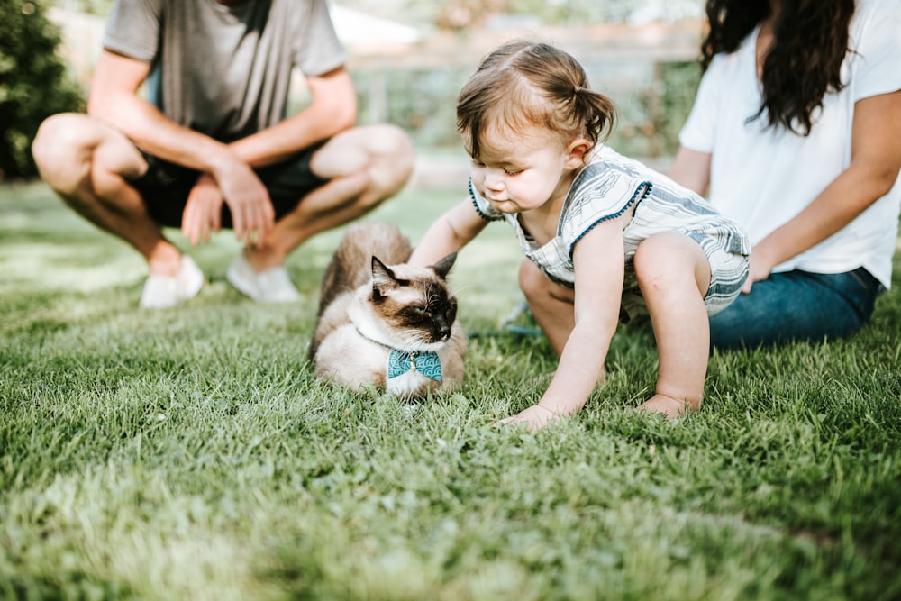 girl in blue denim dungaree sitting on green grass field with brown and white short coated