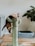 A fluffy cat is climbing or perched on a cactus-shaped scratching post. The post is covered in green carpet material. The background features a cozy-looking room with a gray couch, a large plant with dark green leaves, and a pet bed on a wooden floor.