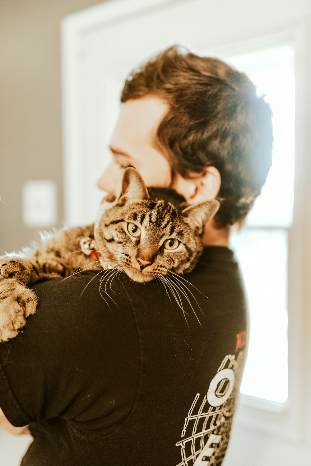 brown tabby cat on black leather chair