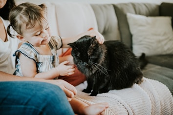A young child with short hair and pigtails is gently petting a large black cat sitting on a knitted blanket. The setting is cozy with a gray couch and soft cushions in the background. The child appears delighted, and the cat looks relaxed, creating a warm and serene atmosphere.