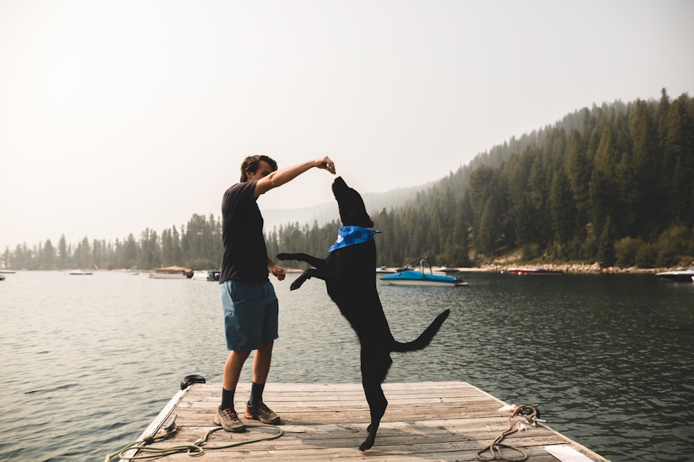 man and woman kissing on brown wooden dock during daytime