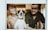 Smiling family playing with a small chihuahua puppy in a bright living room.