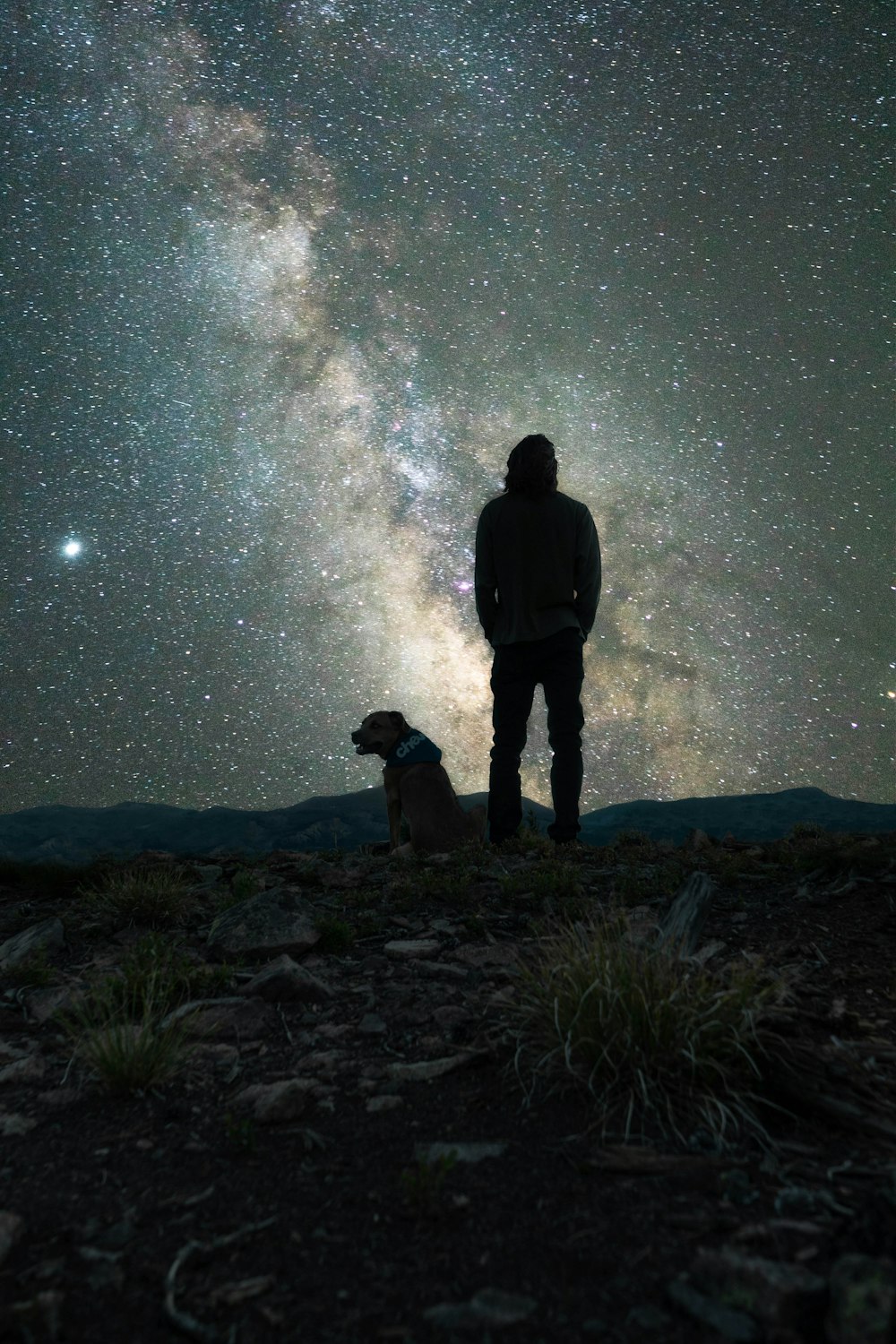 silhueta do homem e do cão em pé na rocha durante a noite