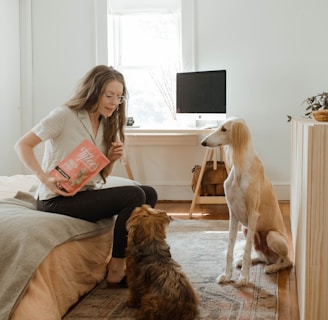 woman in gray shirt sitting on brown couch beside brown long coated dog