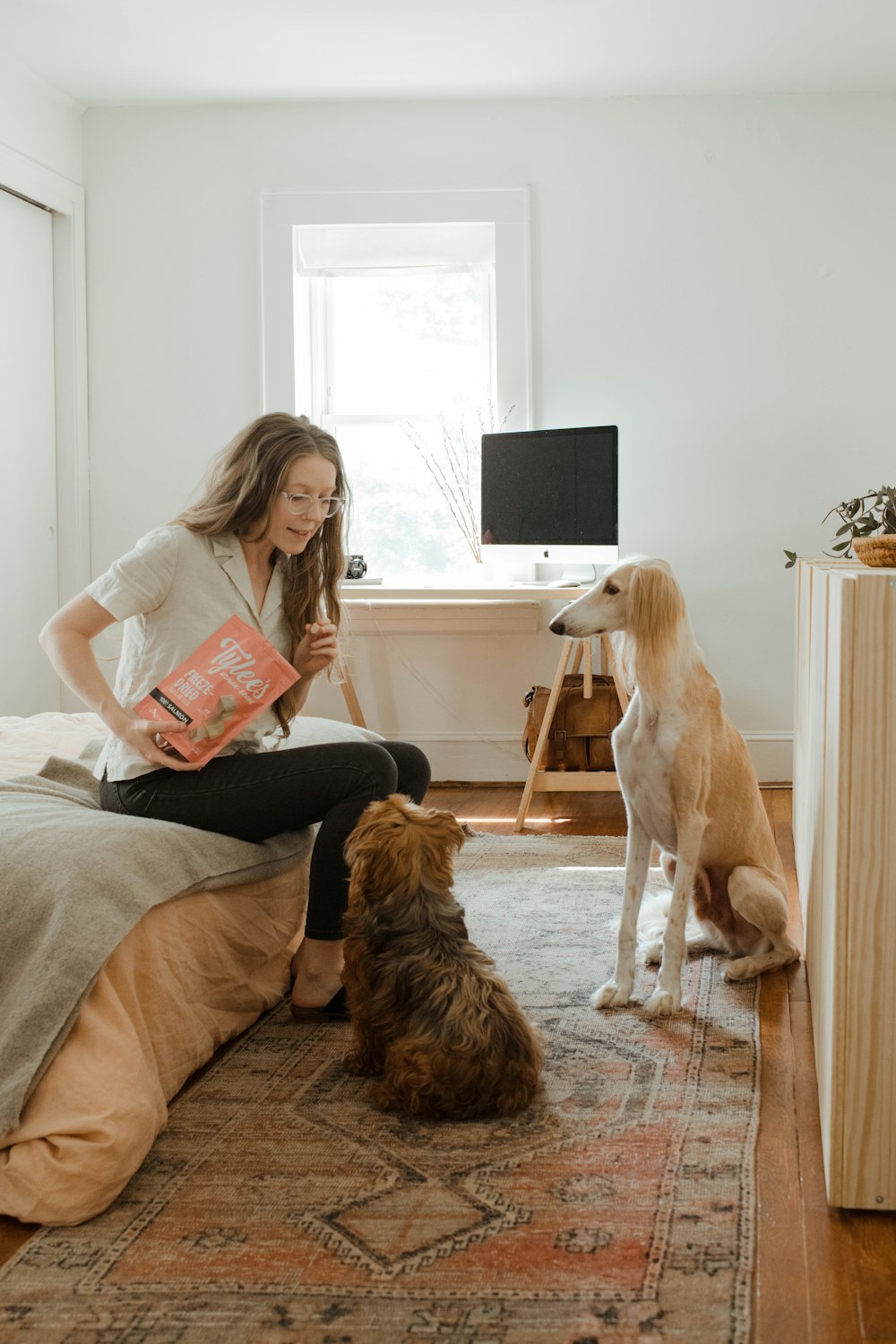 茶色の長いコートの犬の横に茶色のソファに座っている灰色のシャツを着た女性