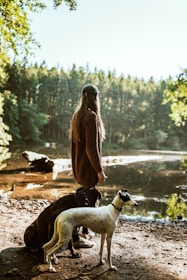 woman in brown jacket sitting beside white and brown short coated dog during daytime