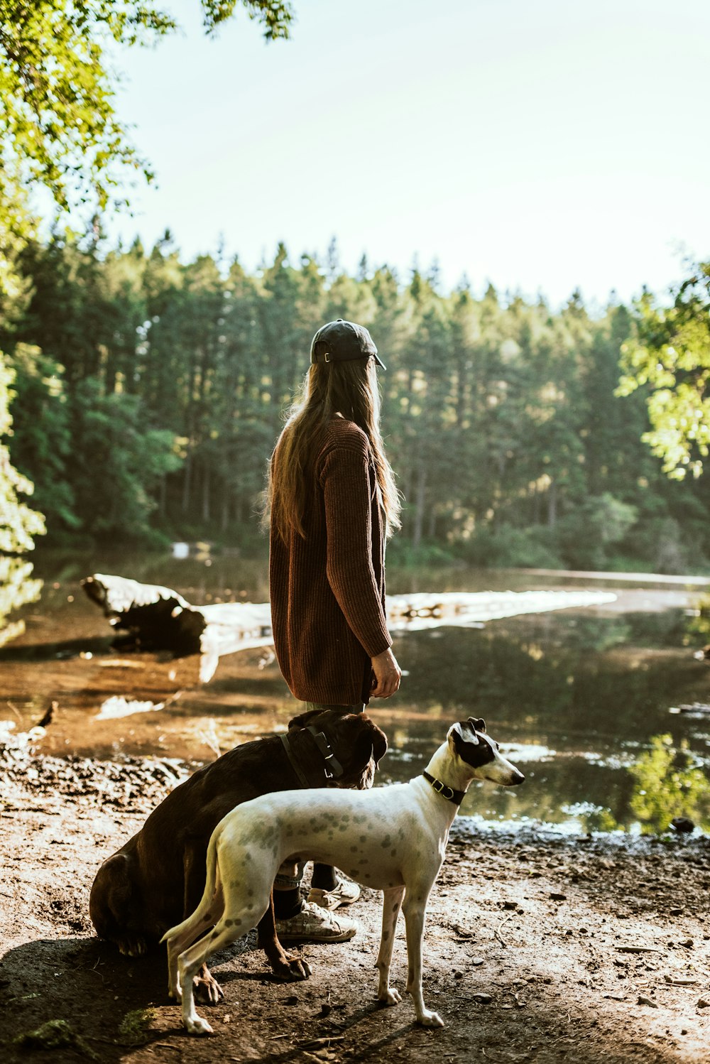 woman in brown jacket sitting beside white and brown short coated dog during daytime