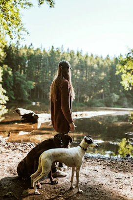 woman in brown jacket sitting beside white and brown short coated dog during daytime