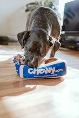 Dog food for sensitive stomach