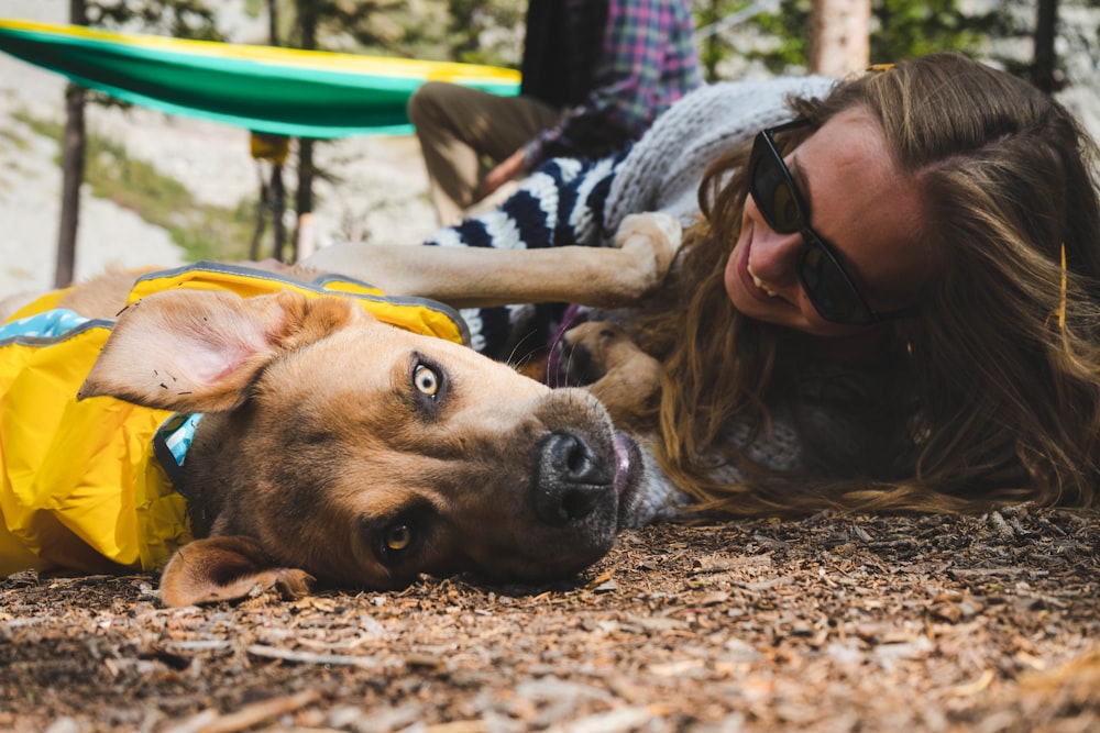 brown and white short coated dog lying on ground