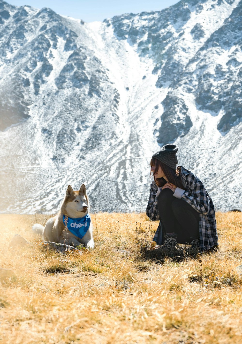 woman in black and white jacket sitting on brown grass field near white and brown dog