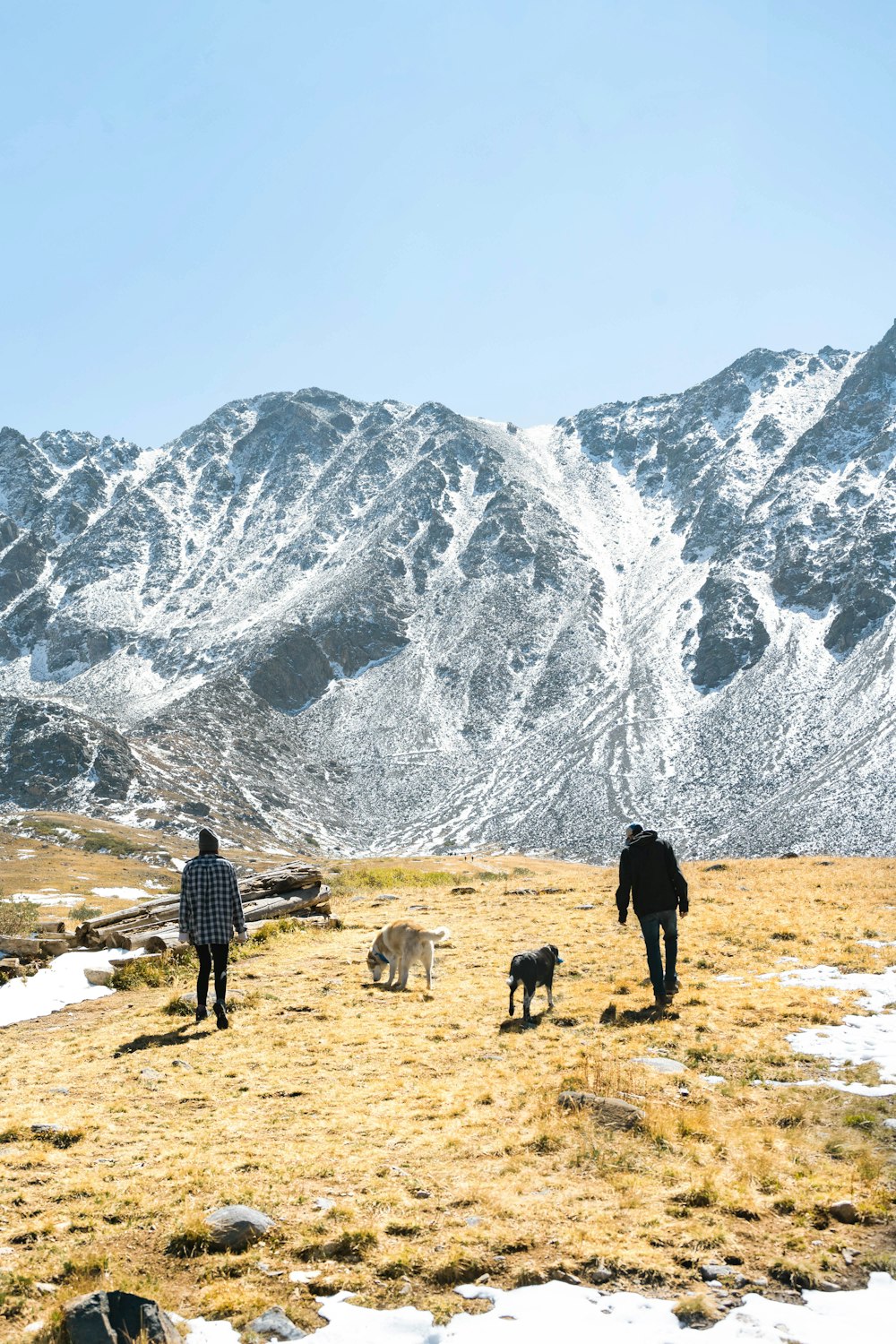 Owner walking a senior dog slowly outdoors on a gentle trail