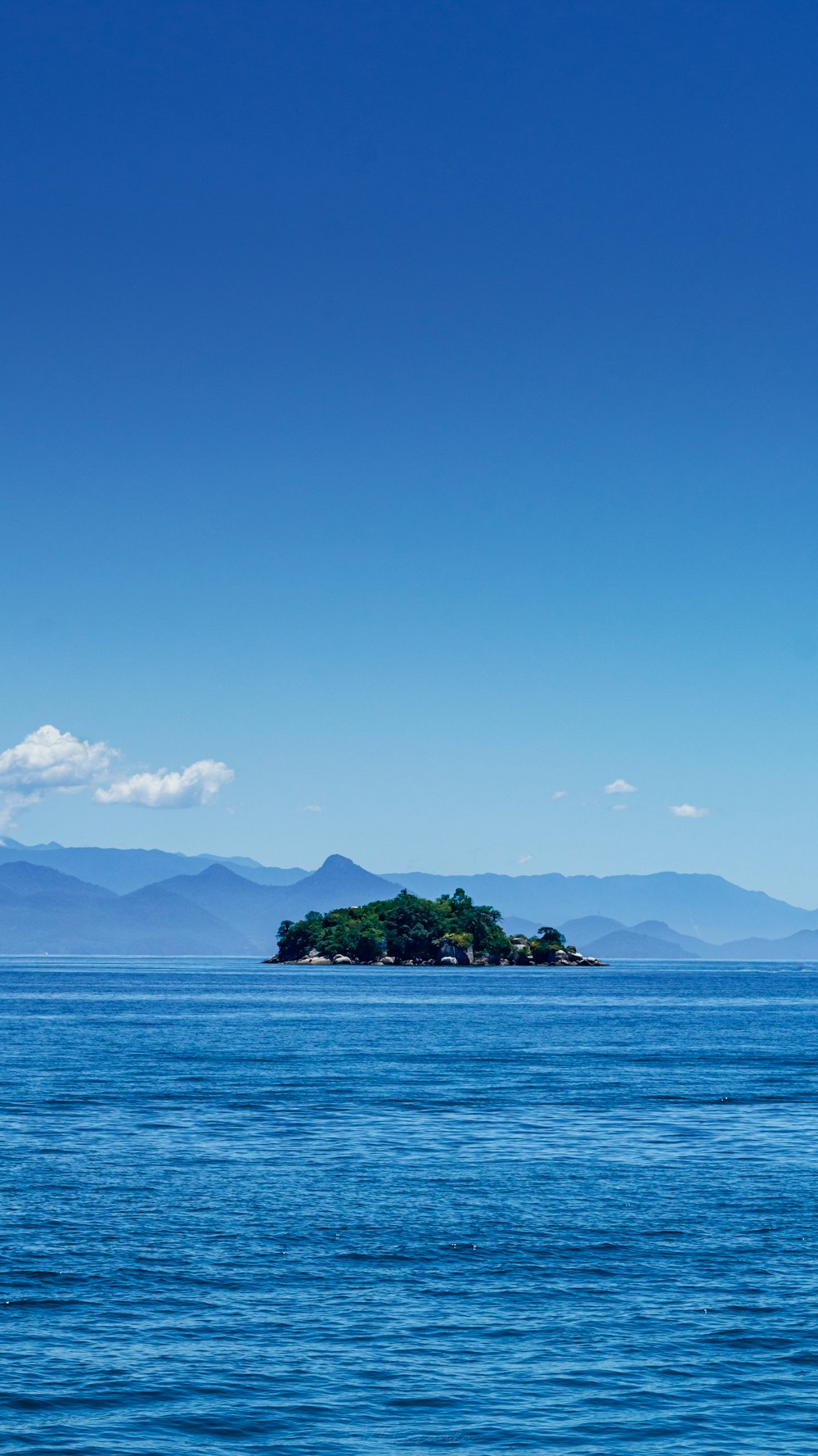 green trees on island surrounded by water under blue sky during daytime