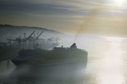A large cruise ship is moving through a calm harbor with industrial cranes in the background, shrouded in a misty atmosphere. The sun is low on the horizon, casting a soft glow and creating a reflective sheen on the water surface.