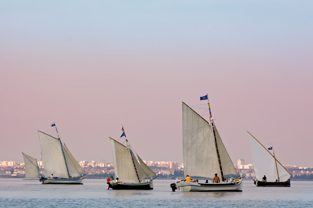 weißes Segelboot auf See tagsüber