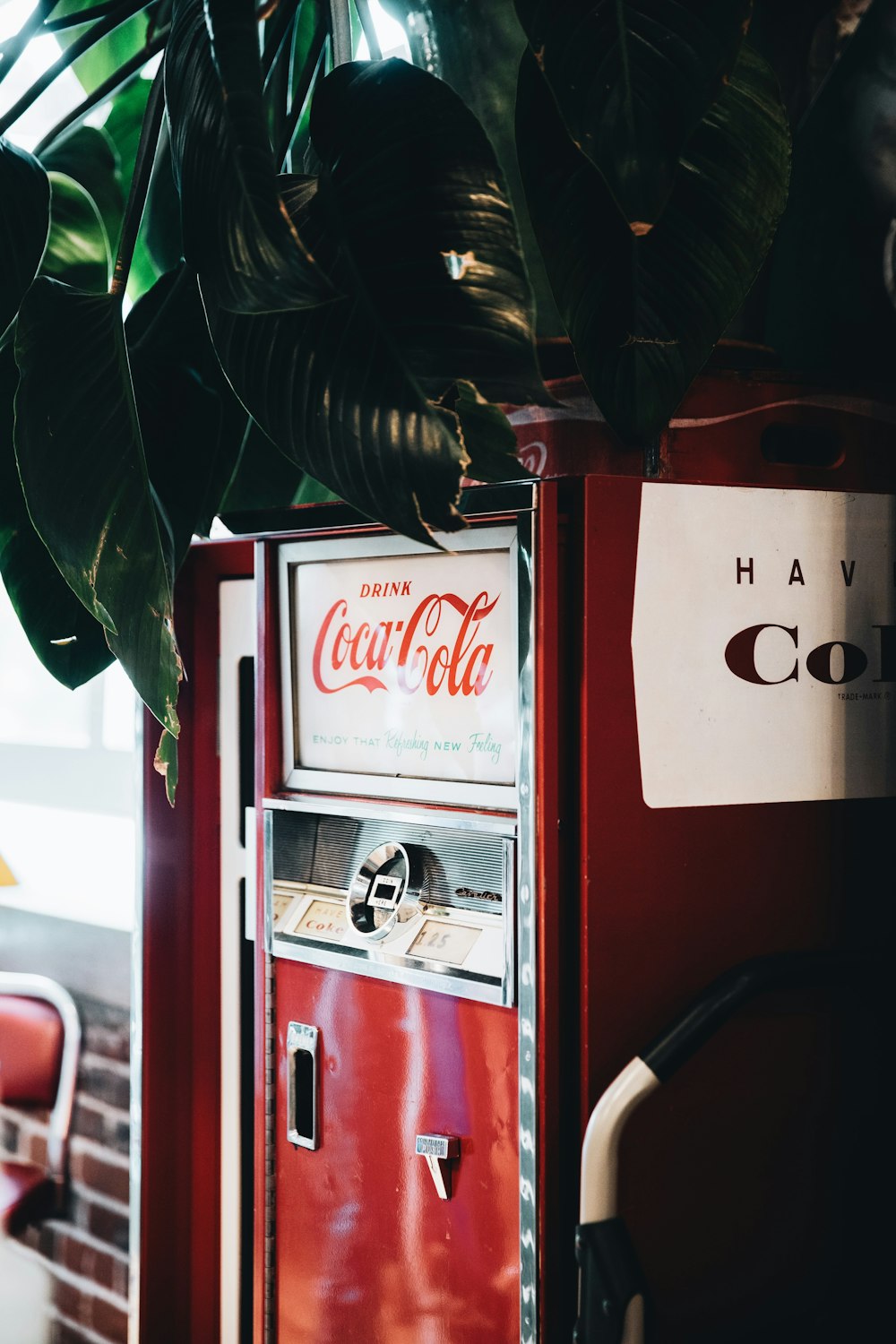 coca cola vending machine beside green plant