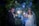 A bride and groom stand in front of a lush green backdrop adorned with string lights and several small photos. They are both holding sparklers, and the bride is dressed in an elegant white gown with a veil and tiara, while the groom is in a classic black tuxedo. Both are smiling and appear joyful.