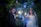 A bride and groom stand in front of a lush green backdrop adorned with string lights and several small photos. They are both holding sparklers, and the bride is dressed in an elegant white gown with a veil and tiara, while the groom is in a classic black tuxedo. Both are smiling and appear joyful.