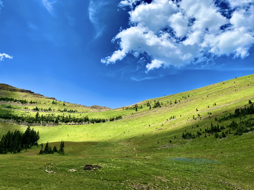 green grass field under blue sky during daytime