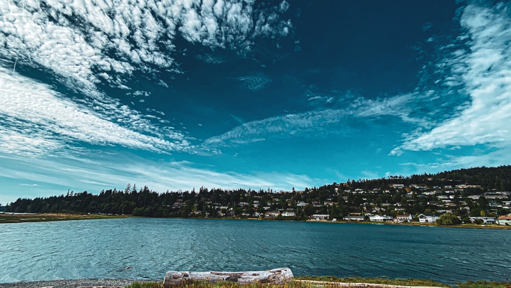 body of water near green trees under blue sky during daytime