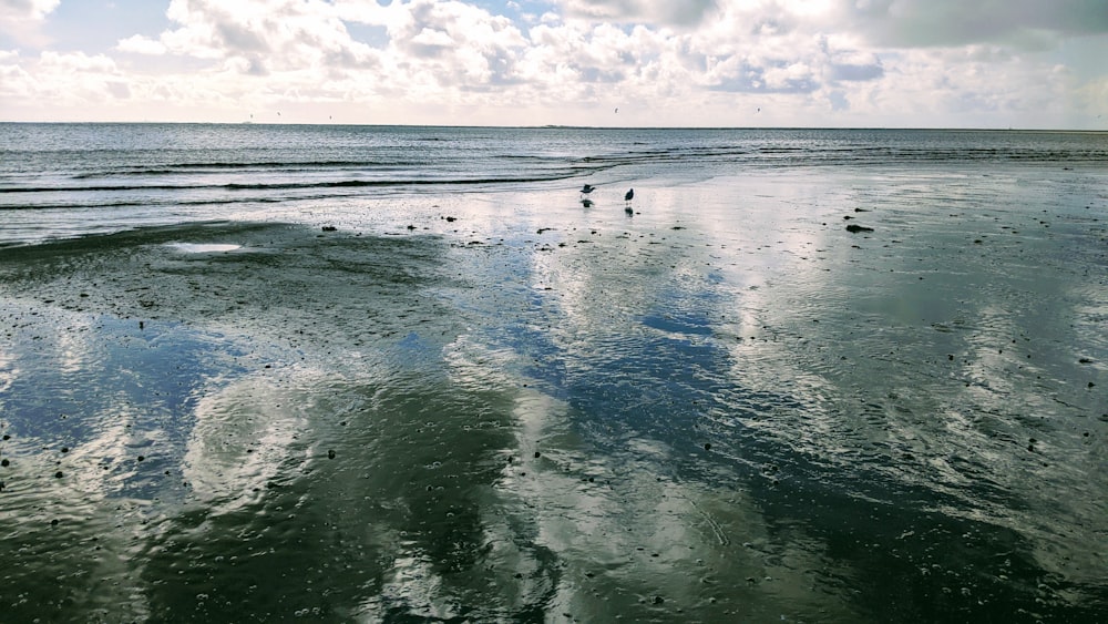 body of water under cloudy sky during daytime