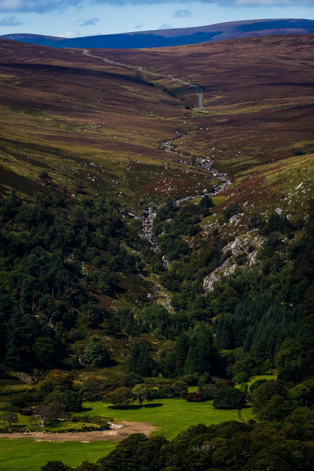 green trees on mountain during daytime