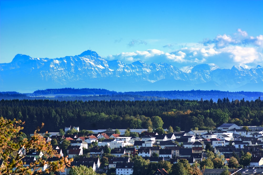 green trees and white and brown houses near mountain under blue sky during daytime