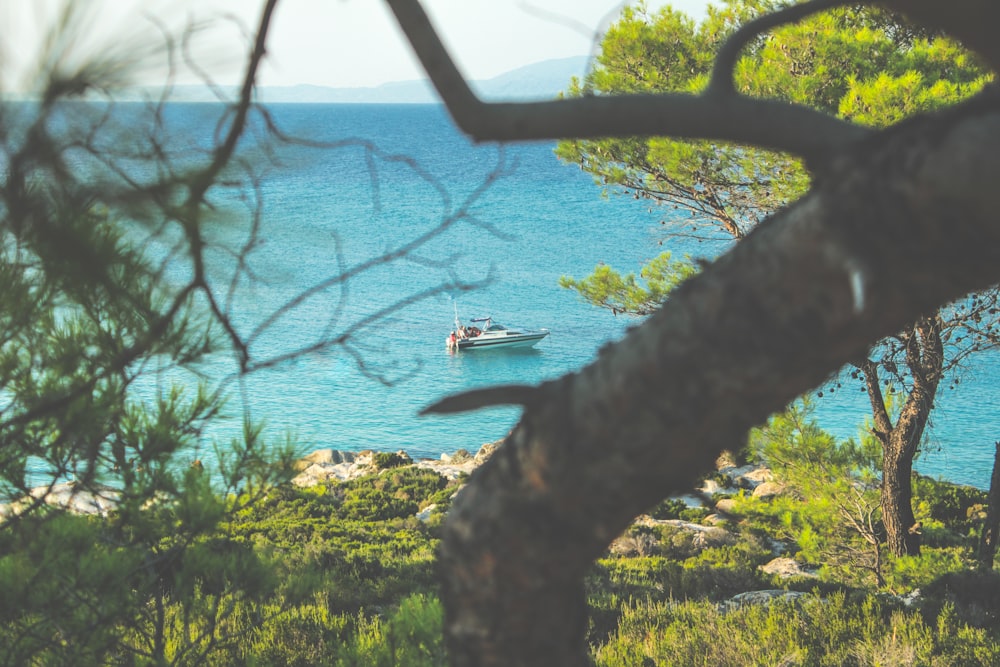 white boat on blue sea during daytime