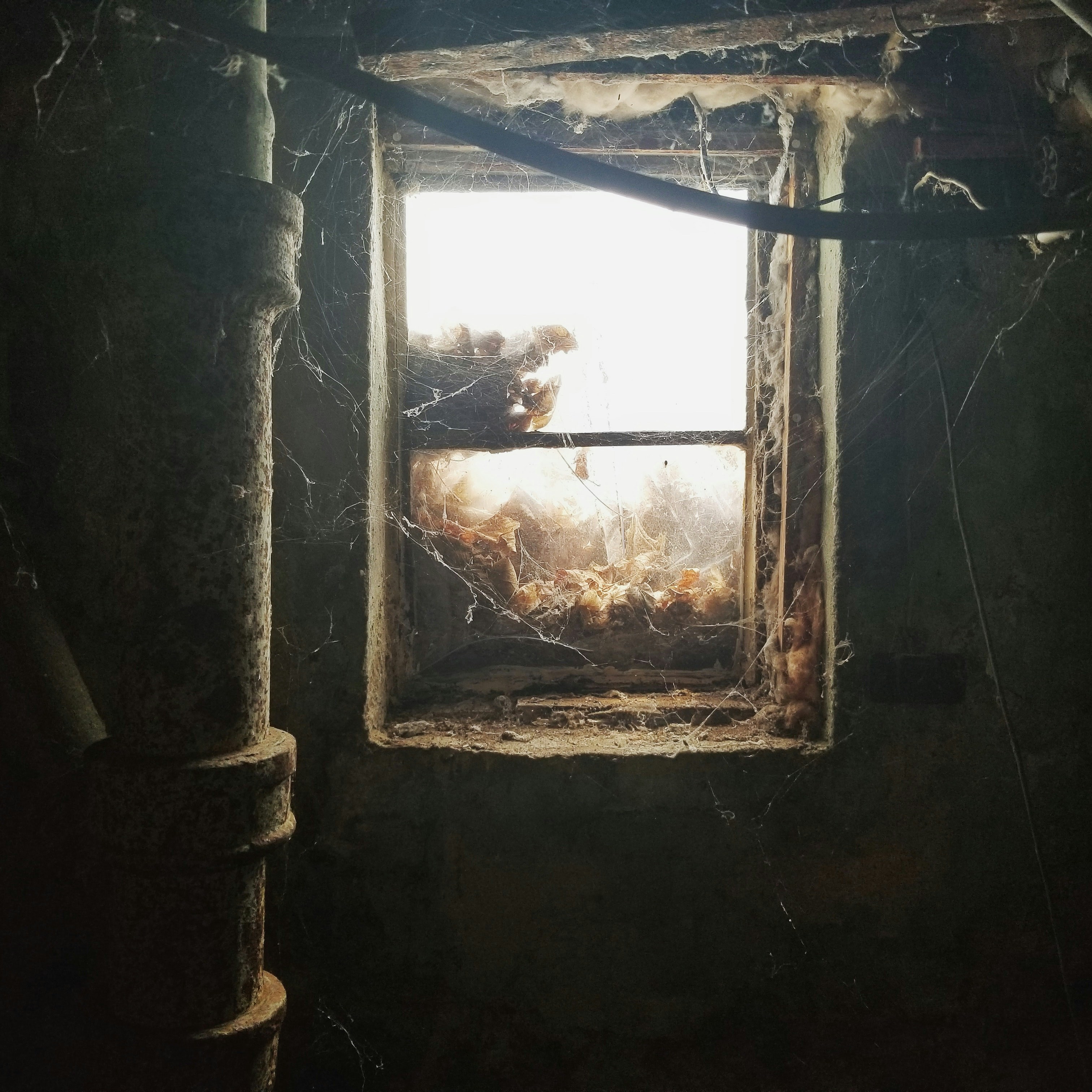 Photo by hollow_movement