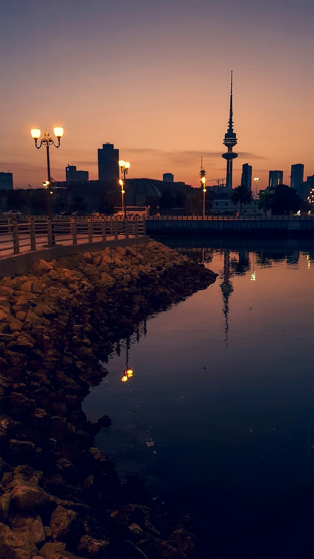 Vogelschwarm auf dem Wasser bei Sonnenuntergang