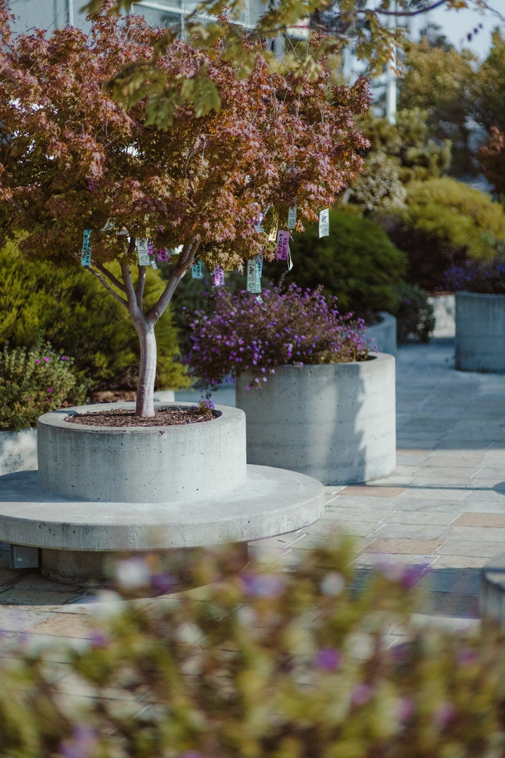 red and yellow flowers on gray concrete pot