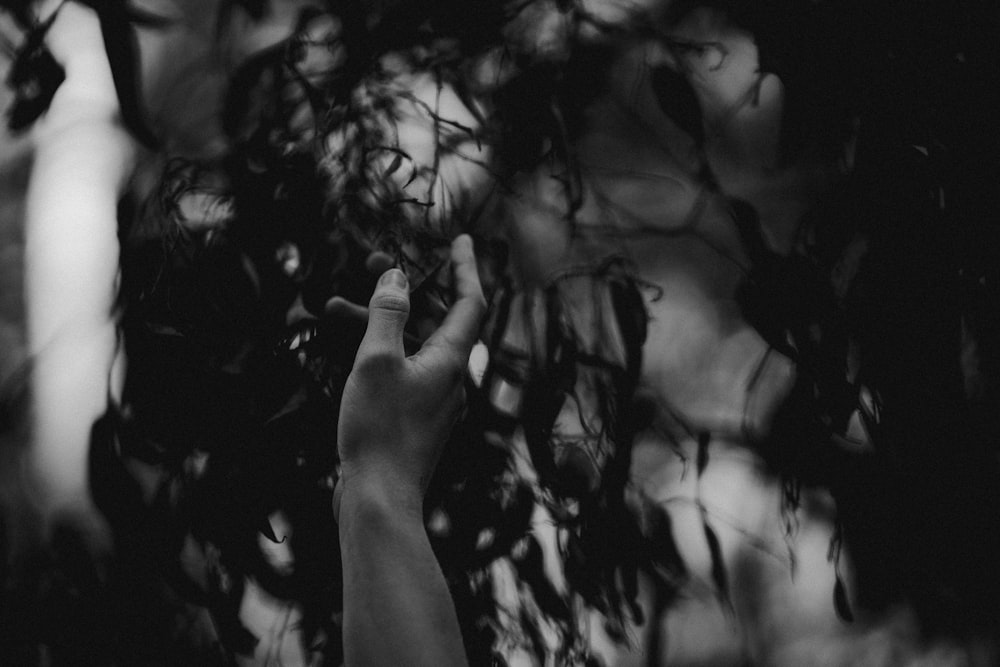 grayscale photo of persons hand