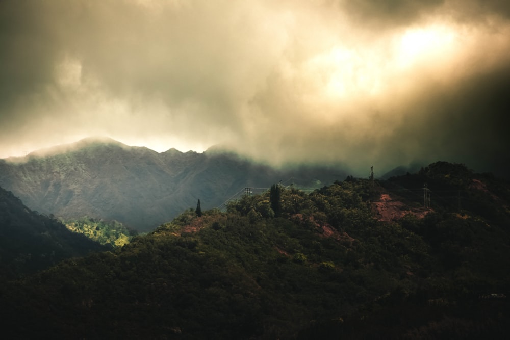 green trees on mountain under white clouds during daytime