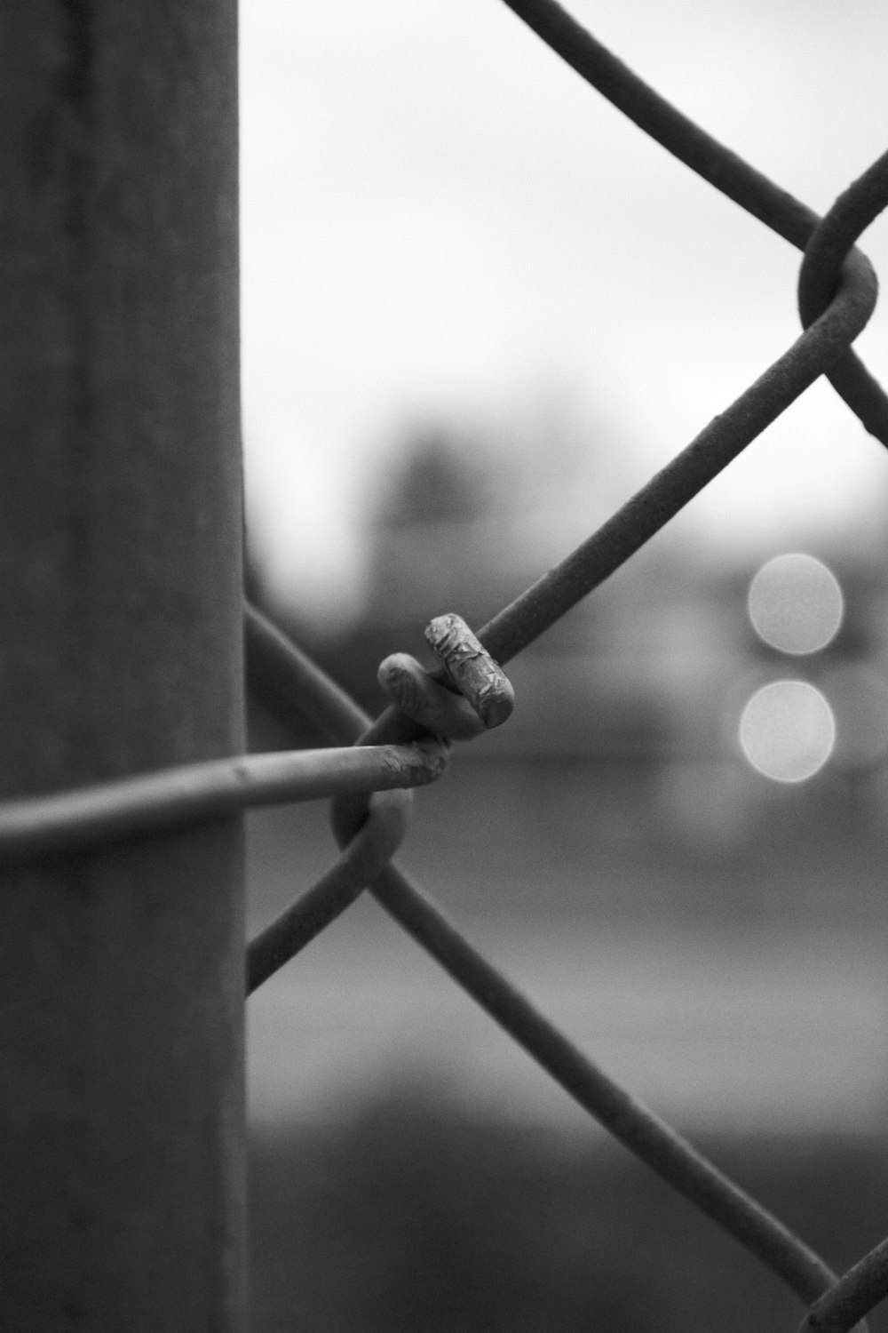 gray scale photo of barbwire